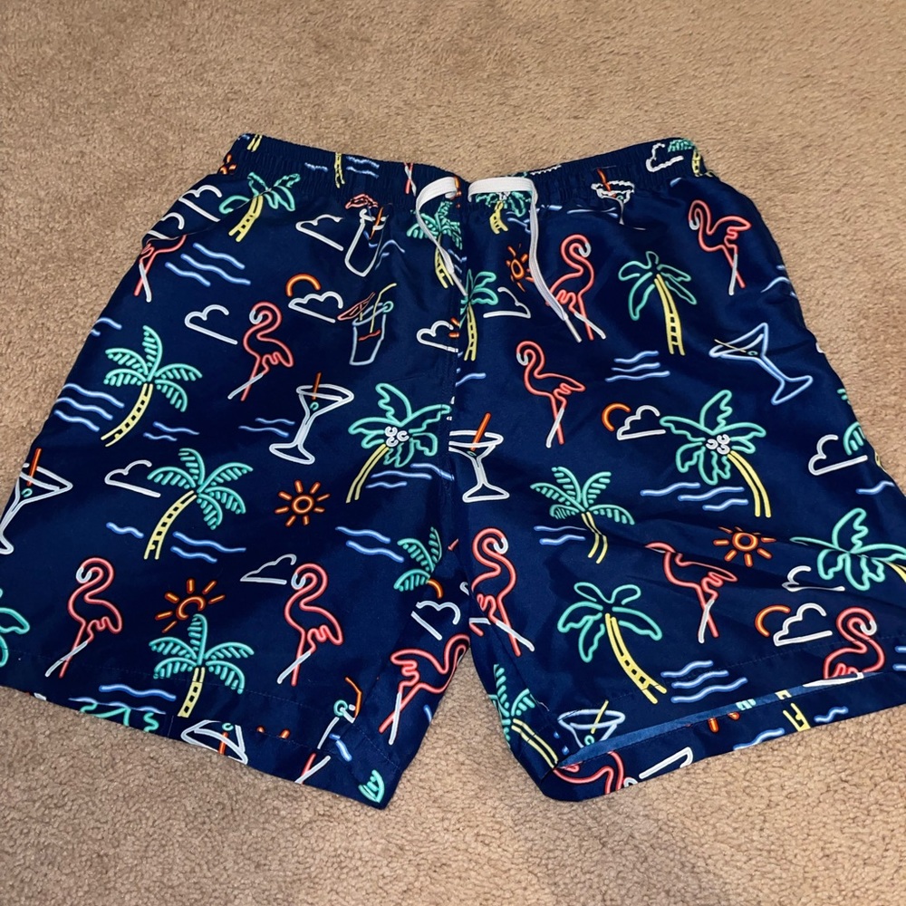 Chubbies bathing suit